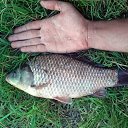 ������ ���������) �� ������� �Fishing�