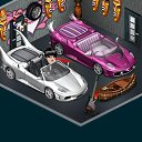 ���� ������, �����������, 31 ��� - ��������� 11 ������� 2013 � ������ �Tropikania�