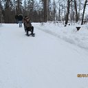 ���� �����, ��������, 64 ���� - ��������� 3 ������ 2014 � ������ ���� ����������