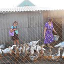 ���� �������, �����, 69 ��� - ��������� 6 ������� 2013