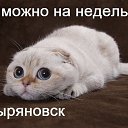 ���� ��������, ����-�����������, 51 ��� - ��������� 27 ������ 2014 � ������ ���� ����������