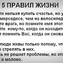 ���� ����, ����������, 49 ��� - ��������� 28 ������� 2014 � ������ ������ ��������