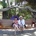 ���� ��������, ���������, 78 ��� - ��������� 8 ������� 2013 � ������ ���� ����������