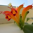 ���� ����� ���������, �����-��������� - ��������� 28 ������� 2014