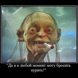 ����, �����, 49 ���