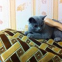 ���� ����, �������, 35 ��� - ��������� 30 ������� 2013 � ������ ���� ����������