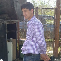 ���� ������, ���������, 43 ���� - ��������� 1 ������ 2014