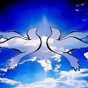 ���� ��� !!! �� ������� ���� ����������