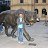 Me my big pet ;)