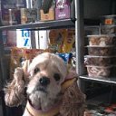 ������ �� ������� ���� ����������