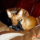 ���� Benjamin, ������, 62 ���� - ��������� 20 �������� 2013 � ������ ���� ����������