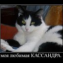  Ystas Wn,  -  19  2013    