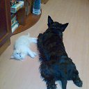 ���� ��������, �������, 64 ���� - ��������� 28 ������ 2014 � ������ ���� ����������