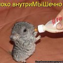 ���������� �� ������� ���� ����������