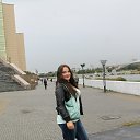 ���� �����������, ���������, 33 ���� - ��������� 16 �������� 2013 � ������ ���� ����������