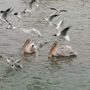 �������� � ��������� �����. �� ������� ���� ����������