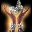 ���� �����, �����-��������� - ��������� 27 ������� 2013 � ������ ���� ����������