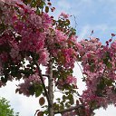 ���� ����, �����-��������� - ��������� 19 �������� 2013 � ������ ���� ����������