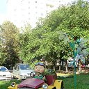 ���� ���������, ���������������, 61 ��� - ��������� 1 ������� 2014 � ������ ������