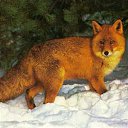 ���� ���������, �����, 81 ��� - ��������� 29 ������� 2013 � ������ ���� ����������