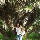 ���� ����, ���, 51 ��� - ��������� 6 ������ 2013 � ������ ���� ����������