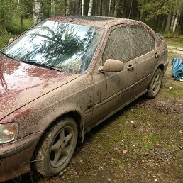 ���� �����, �����-���������, 53 ���� - ��������� 3 ����� 2014