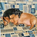 ��� ���� � ���� �� ������� ���� ����������