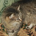 ��� �� ��� �������?! �� ������� ���� ���� � ������ ��������