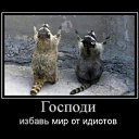 ���� Ivan, ����-���������, 43 ���� - ��������� 8 ����� 2014
