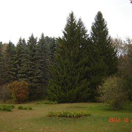 ������, ������������, 62 ����