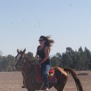 ���� ����, �����-���������, 48 ��� - ��������� 11 ������� 2014 � ������ ���� ����������