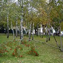  -        2013