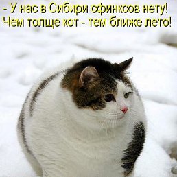 ���� �����, �����-����, 23 ���� - ��������� 26 ������� 2013