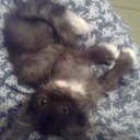 ���� �������, ������, 44 ���� - ��������� 25 ������ 2014 � ������ ���������� ������