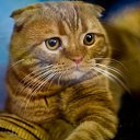 ���� ������, �������� - ��������� 26 ������ 2014 � ������ ���� ����������