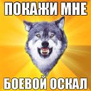 ���� ��, ������, 63 ���� - ��������� 6 ������� 2013 � ������ ���� ����������