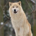 ���� �����, �����������, 48 ��� - ��������� 11 �������� 2013 � ������ ������ ��������