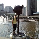 ���� ������, ������� - ��������� 26 ������� 2013