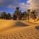 ���� �e� �, ������, 55 ��� - ��������� 8 ������� 2013 � ������ ����� �� ����