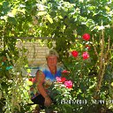 ����� 2013 �� ������� ���� ����������