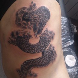 ������, ������