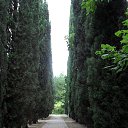      &quot;&quot;