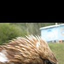 ���� �������, ������, 49 ��� - ��������� 26 ������� 2013 � ������ ���� ����������