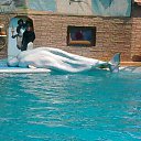 ���� �������, ������, 52 ���� - ��������� 27 ������� 2013 � ������ ���� ����������