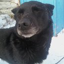 ���� �����, �����������, 24 ���� - ��������� 25 ������� 2014 � ������ ���� ����������