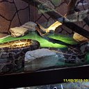 ���� �������, ���������, 44 ���� - ��������� 11 ������ 2014 � ������ ���� ����������