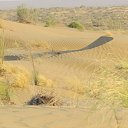 ���� �����, �������, 68 ��� - ��������� 29 ������ 2013 � ������ ���������