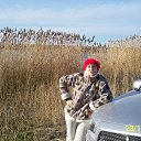 ���� ����, ������, 56 ��� - ��������� 30 ������ 2013 � ������ ���