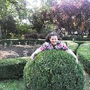 ���� ���������, �������, 66 ��� - ��������� 12 ������� 2013 � ������ ���� ����������