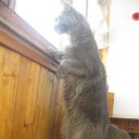 ���� �����, ������, 39 ��� - ��������� 10 ������� 2014 � ������ ���� ����������